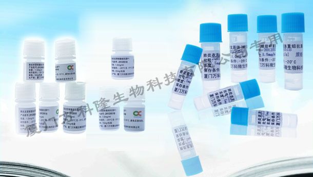 柯薩奇病毒（A6）重組抗原